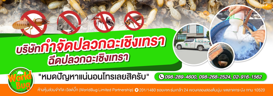 กำจัดปลวก ฉะเชิงเทรา