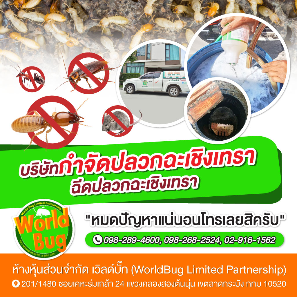 กำจัดปลวก ฉะเชิงเทรา